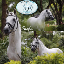 Load image into Gallery viewer, Naturally White™ whitening Soap Wash For Horses & Hounds '300g Touch up Tin'  -NEW LOOK TIN