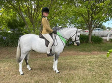 Load image into Gallery viewer, Naturally White™ whitening Soap Wash For Horses & Hounds '300g Touch up Tin'  -NEW LOOK TIN