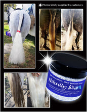 Load image into Gallery viewer, DRY SOAK STAIN REMOVER POWDER - NEW Naturally White