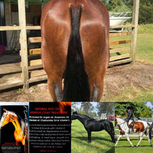 Load image into Gallery viewer, Bee Kind Naturally Hot™ Oil Intensive Coat Treatment