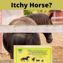 Load image into Gallery viewer, SOA Itch Be Gone 300g Bar Soap for horses, dogs, cats and other pets