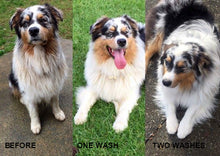 Load image into Gallery viewer, Naturally Shine- Plant-based Massaging Shampoo * Horses & Dogs