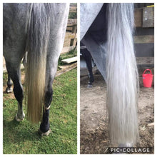 Load image into Gallery viewer, SHOWHITE- Toning Crème Conditioner for Horses & Hounds 300ml