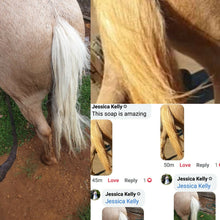Load image into Gallery viewer, NATURALLY WHITE- Whitening Soap Bar - Bee Kind for Horses & Dogs