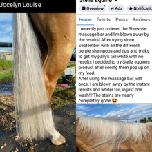 Load image into Gallery viewer, 🤩🦄 SHOWHITE SHAMPOO Whitening Toning Bar for HORSES Bee Kind (Massaging) BEST SELLER