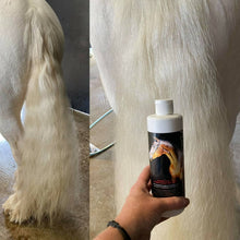 Load image into Gallery viewer, Bee Kind Naturally Hot™ Oil Intensive Coat Treatment