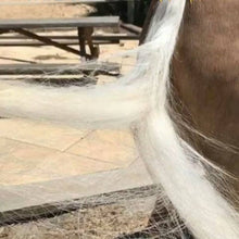 Load image into Gallery viewer, SHOWHITE- Toning Crème Conditioner for Horses & Hounds 300ml