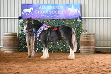 Load image into Gallery viewer, SHOWHITE- Toning Crème Conditioner for Horses & Hounds 300ml