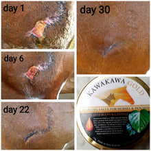 Load image into Gallery viewer, Kawakawa Gold Active 15+ Manuka Honey for Horses & Hounds