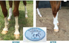 Load image into Gallery viewer, NATURALLY WHITE- Whitening Soap Bar - Bee Kind for Horses & Dogs