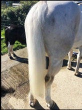 Load image into Gallery viewer, NATURALLY WHITE- Whitening Soap Bar - Bee Kind for Horses & Dogs