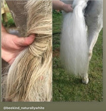 Load image into Gallery viewer, 🤩🦄 SHOWHITE SHAMPOO Whitening Toning Bar for HORSES Bee Kind (Massaging) BEST SELLER