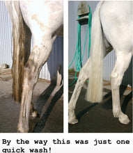 Load image into Gallery viewer, NATURALLY WHITE- Whitening Soap Bar - Bee Kind for Horses & Dogs