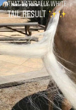 Load image into Gallery viewer, NATURALLY WHITE- Whitening Soap Bar - Bee Kind for Horses & Dogs