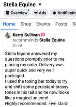 Load image into Gallery viewer, 🤩🦄 SHOWHITE SHAMPOO Whitening Toning Bar for HORSES Bee Kind (Massaging) BEST SELLER