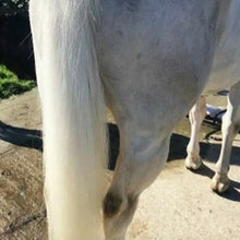 Load image into Gallery viewer, 🤩🦄 SHOWHITE SHAMPOO Whitening Toning Bar for HORSES Bee Kind (Massaging) BEST SELLER