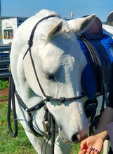 Load image into Gallery viewer, NATURALLY WHITE- Whitening Soap Bar - Bee Kind for Horses & Dogs