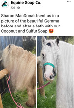 Load image into Gallery viewer, SCENTED COCONUT & SULFUR SOAP