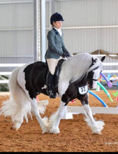Load image into Gallery viewer, Naturally White™ whitening Soap Wash For Horses & Hounds '300g Touch up Tin'  -NEW LOOK TIN