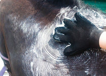 Load image into Gallery viewer, The amazing Wet & Dry Grooming Glove