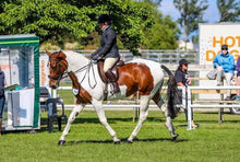 Load image into Gallery viewer, NATURALLY WHITE- Whitening Soap Bar - Bee Kind for Horses & Dogs