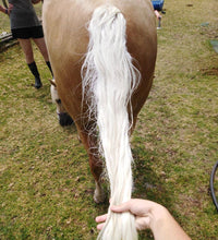 Load image into Gallery viewer, 🤩🦄 SHOWHITE SHAMPOO Whitening Toning Bar for HORSES Bee Kind (Massaging) BEST SELLER