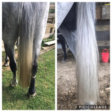 Load image into Gallery viewer, 🤩🦄 SHOWHITE SHAMPOO Whitening Toning Bar for HORSES Bee Kind (Massaging) BEST SELLER