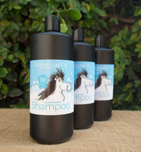 Load image into Gallery viewer, Coconut & Sulfur Shampoo