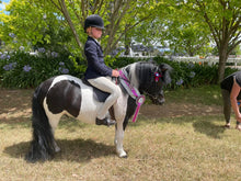 Load image into Gallery viewer, SHOWHITE- Toning Crème Conditioner for Horses & Hounds 300ml