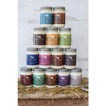 Load image into Gallery viewer, FLY SPRAY - SOY CANDLE - CITRONELLA KEEPS INSPECTS AWAY