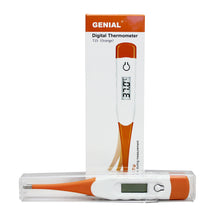 Load image into Gallery viewer, Digital Thermometer