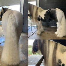 Load image into Gallery viewer, 🤩🦄 SHOWHITE SHAMPOO Whitening Toning Bar for HORSES Bee Kind (Massaging) BEST SELLER