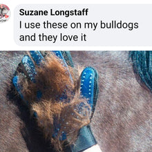 Load image into Gallery viewer, The amazing Wet & Dry Grooming Glove