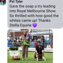 Load image into Gallery viewer, SHOWHITE Shampoo Toning Bar 🐩🐕 FOR DOGS 120g massage bar