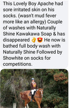 Load image into Gallery viewer, Naturally Shine- Plant-based Massaging Shampoo * Horses & Dogs