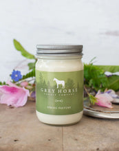Load image into Gallery viewer, FLY SPRAY - SOY CANDLE - CITRONELLA KEEPS INSPECTS AWAY