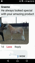 Load image into Gallery viewer, SHOWHITE- Toning Crème Conditioner for Horses & Hounds 300ml