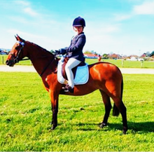 Load image into Gallery viewer, Naturally DARK- Coat Enhancing Shampoo Bar for Horses & Dogs