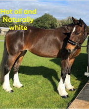 Load image into Gallery viewer, NATURALLY WHITE- Whitening Soap Bar - Bee Kind for Horses & Dogs