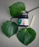 Load image into Gallery viewer, Kawakawa Gold Active 15+ Manuka Honey for Horses & Hounds