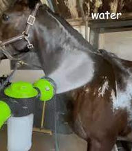 Load image into Gallery viewer, The amazing Wet & Dry Grooming Glove
