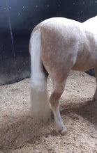 Load image into Gallery viewer, 🤩🦄 SHOWHITE SHAMPOO Whitening Toning Bar for HORSES Bee Kind (Massaging) BEST SELLER