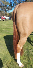 Load image into Gallery viewer, 🤩🦄 SHOWHITE SHAMPOO Whitening Toning Bar for HORSES Bee Kind (Massaging) BEST SELLER
