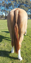 Load image into Gallery viewer, Tail & Mane Conditioner