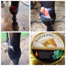Load image into Gallery viewer, Kawakawa Gold Active 15+ Manuka Honey for Horses & Hounds
