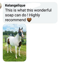 Load image into Gallery viewer, Naturally White™ whitening Soap Wash For Horses &amp; Hounds &#39;300g Touch up Tin&#39;  -NEW LOOK TIN
