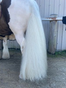 Tail & Mane Conditioner