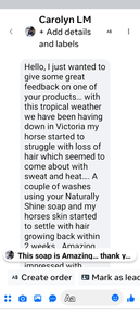 Naturally Shine- Plant-based Massaging Shampoo * Horses & Dogs