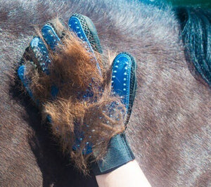 The amazing Wet & Dry Grooming Glove
